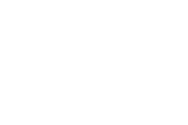 UN global compact support logo 